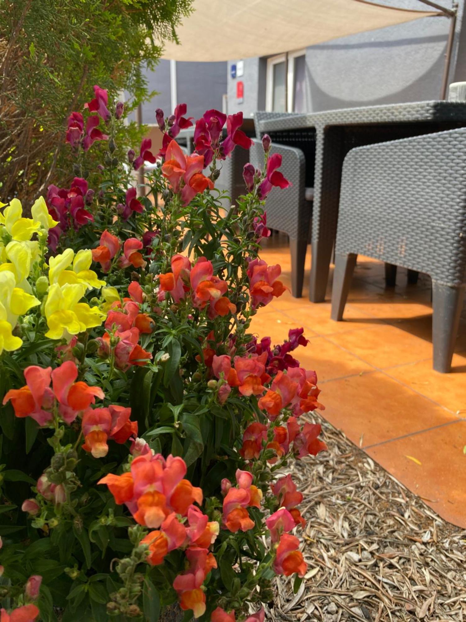 Contact Hotel Le Sud Montpellier Aeroport Parc Expo Arena 모기오 외부 사진